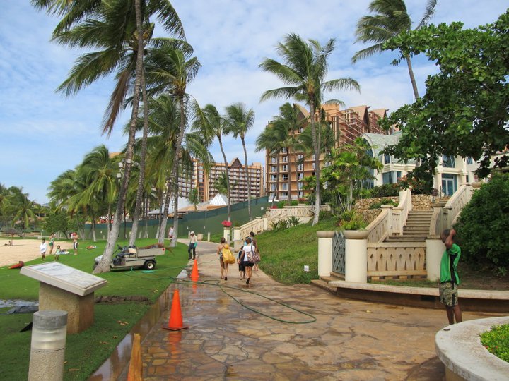 Aulani January 2011