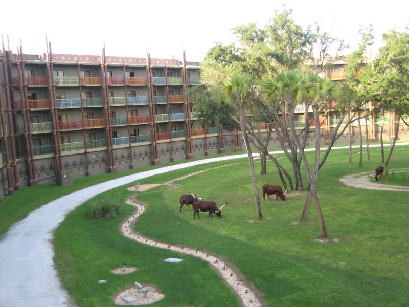 Animal Kingdom Lodge Savanna