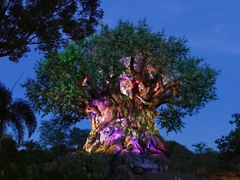 Disney's Animal Kingdom