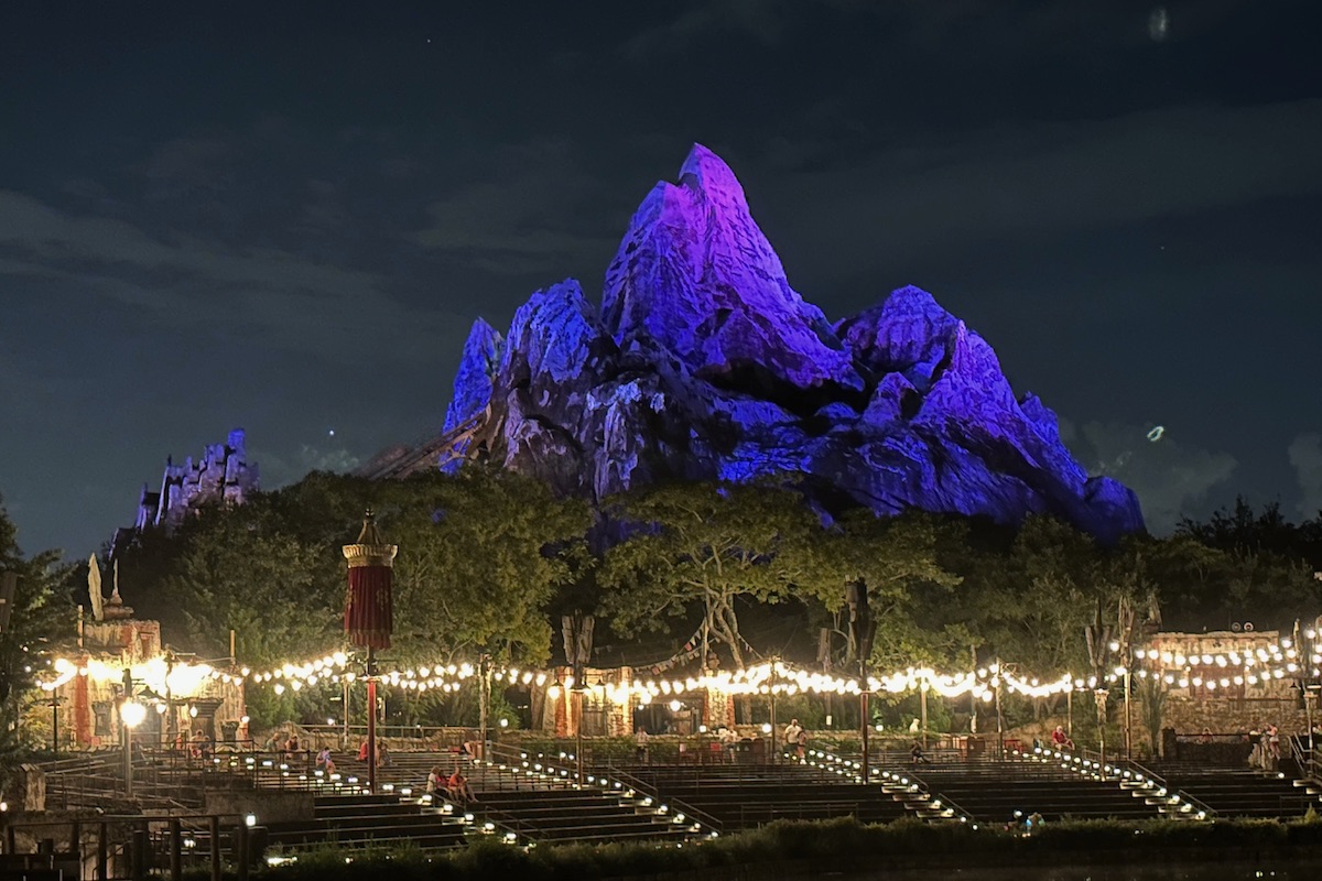 Disneys Animal Kingdom Everest Night