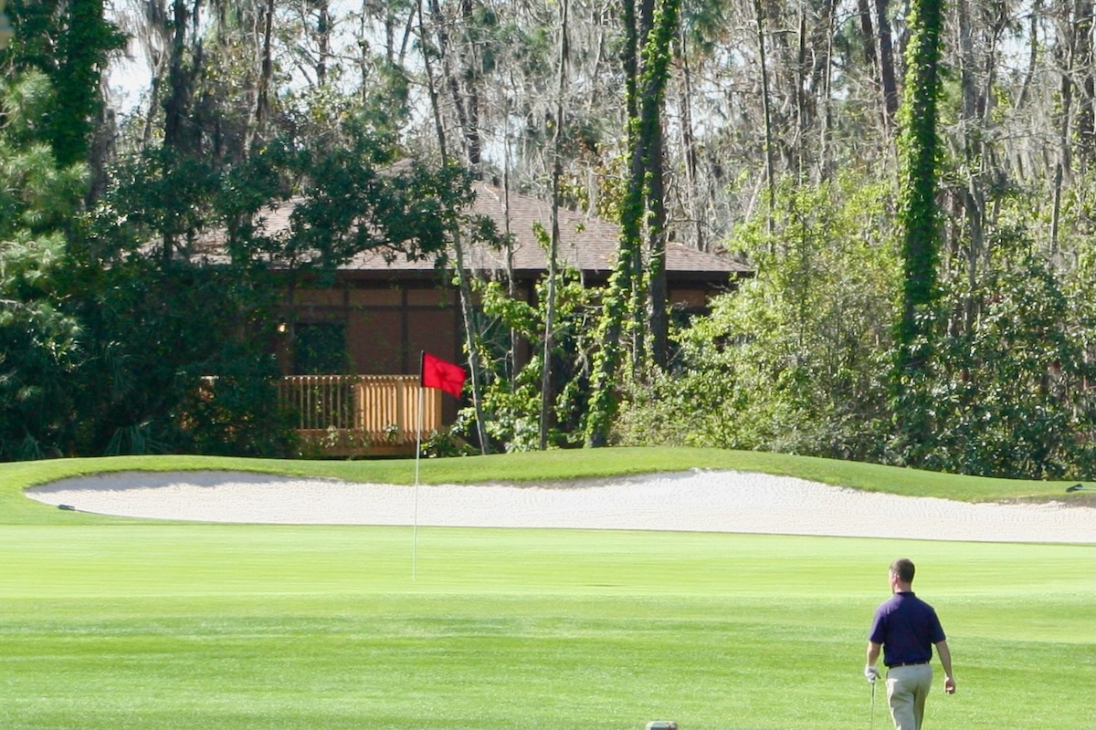 Disneys Saratoga Springs Resort Treehouse Villa Golf