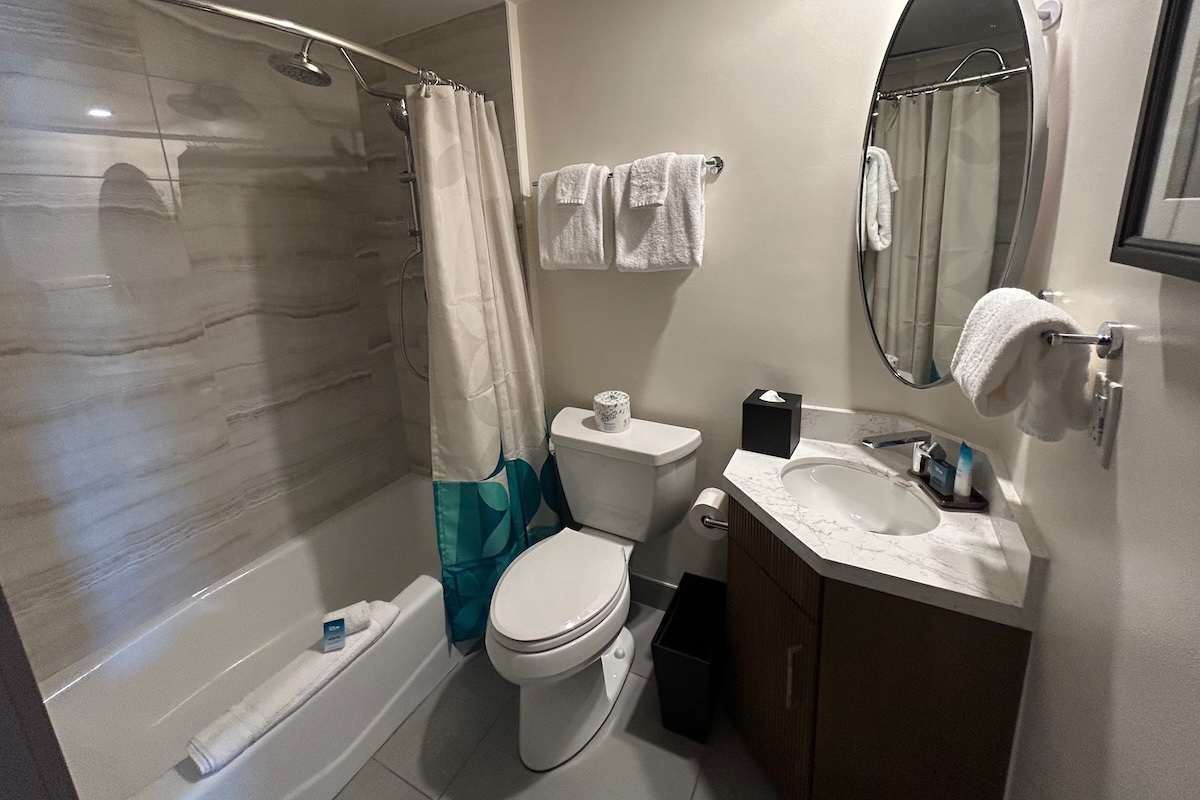 Guest bathroom (off living room)