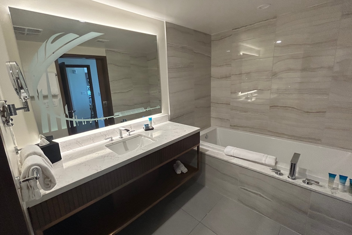 Master bathroom vanity and tub