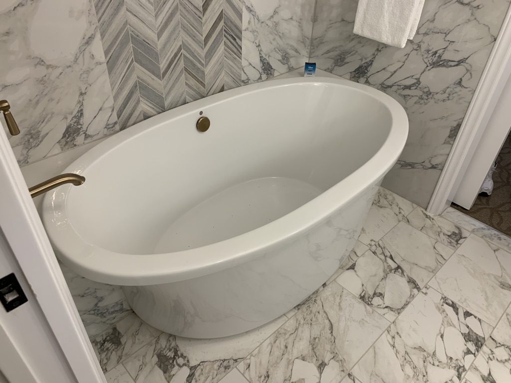 Master bathroom tub