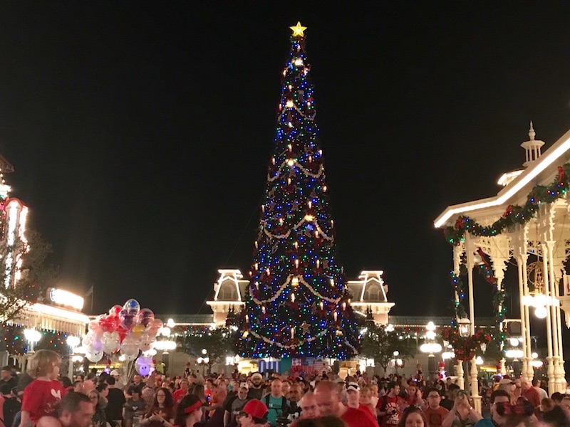 Magic Kingdom Holiday 2018