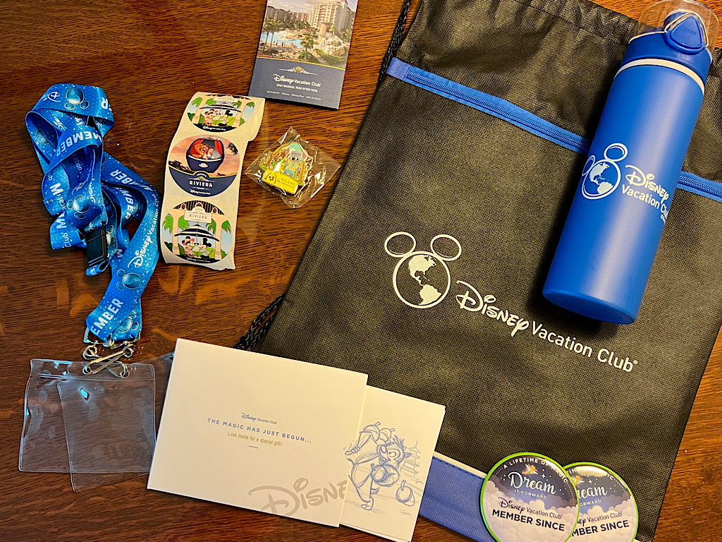 DVC Gift Bag Disneyland