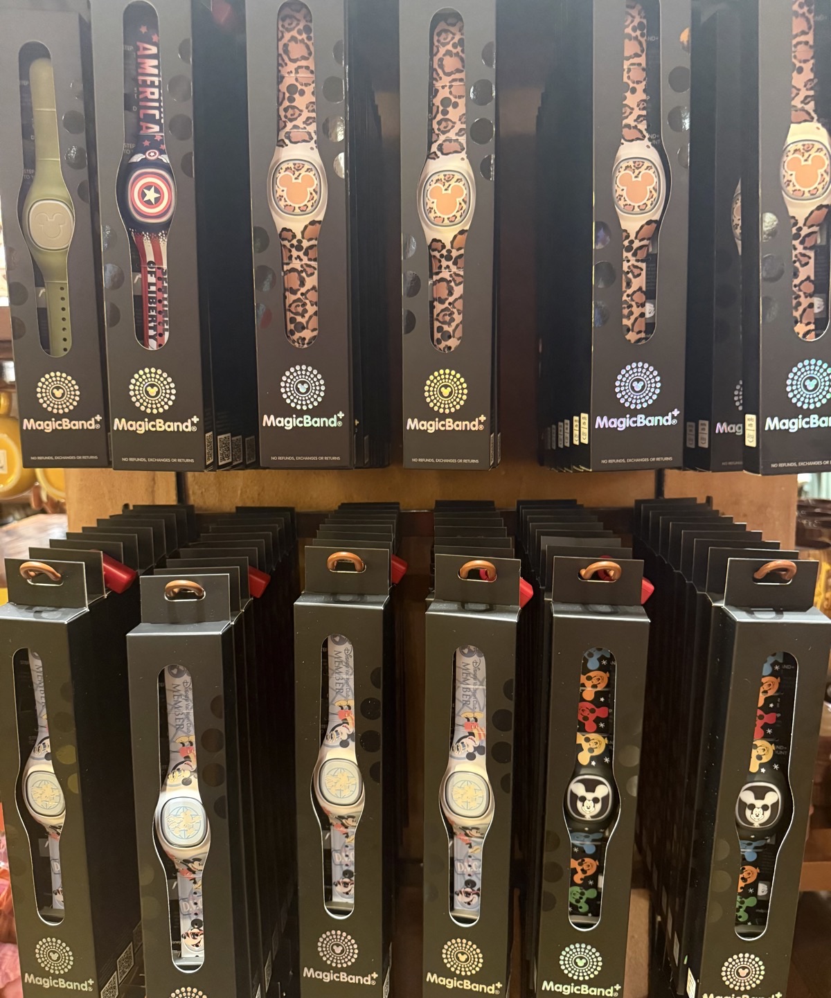 Disneys Animal Kingdom Villas Merchandise 202609a