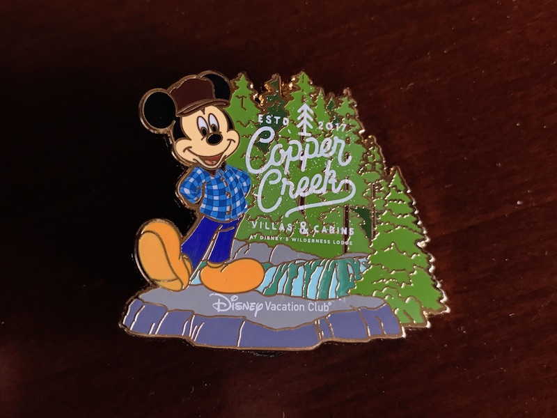 CCV Pin