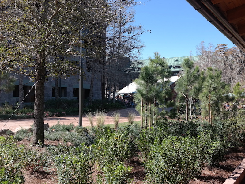 Wilderness Lodge Construction