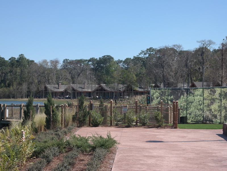 Wilderness Lodge Construction