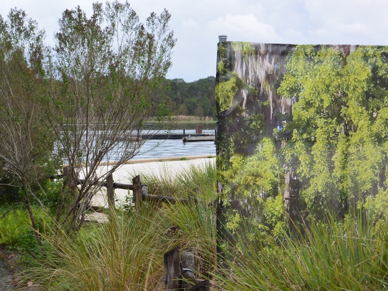 Wilderness Lodge November 2015